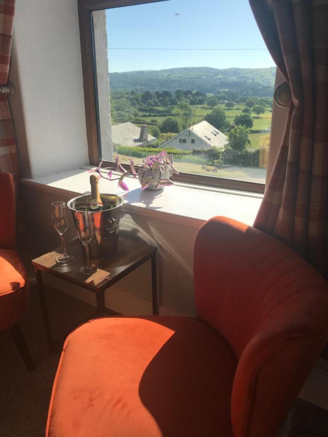 コンウィ Y Llew Coch Bed & Breakfast エクステリア 写真